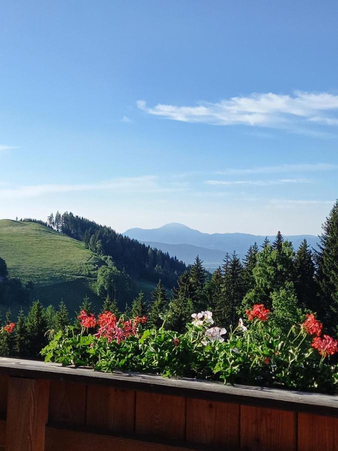 Almchalet Schuster Diex Экстерьер фото